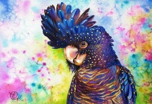 Rompecabezas QPuzzles 500XL piezas - cacatúa negra - Imagen 1 de 1