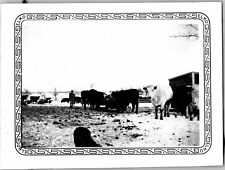 1944 Cows Family Farm Landscape S Dakota Black & White Vtg Elko Photo