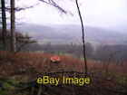 Photo 6X4 From Barrow Banks Newby Bridge Looking Towards Newby Bridge Fro C2007