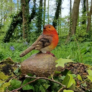 Robin on a Stone Resin Garden Ornament Resin Bird Sculpture Figurine - Picture 1 of 7