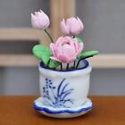 Miniature Dollhouse Plants 1/12 Scale Doll House Lotus for Bedroom Ornaments
