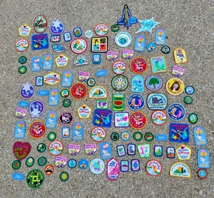 113 Pfadfinder Aufnäher/Abzeichen und 8 Pins - Bild 1 von 2