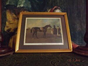 Antique style framed print race horse 'Touchstone' by John Frederick Herring