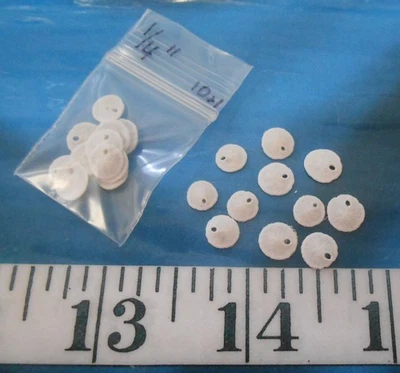 ~ Dólares de arena ~ 10 *MICRO* (1/4") ~ Blanco ~ Shellcraft ~ San Valentín de marinero ~ Foto 1 de 3