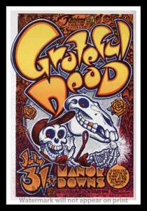 Poster Rock n Roll stile vintage incorniciato "GRATFUL DEAD AT MANOR DOWNS"; 12x18 - Foto 1 di 1