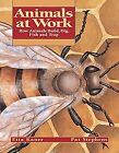 Animals at Work: How Animals Build, Dig, Fish and T... | Buch | Zustand sehr gut
