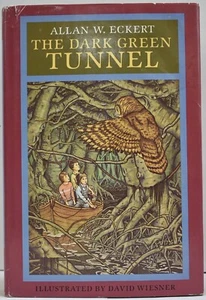 ALLAN W. ECKERT The Dark Green Tunnel 1984 First Edition VG HCDJ Fantasy World - Bild 1 von 17