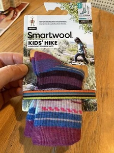 NWT Smartwool Kids' Hike Cushion Striped Crew Socks Meadow Mauve Size S - Picture 1 of 9