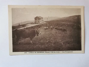 CPA 05 L'Hôtel du SEMNOZ - Les Troupeaux - Imagen 1 de 2