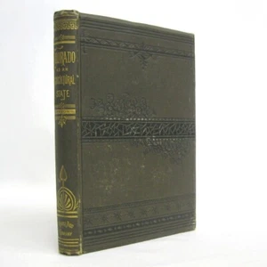 Colorado as an Agricultural State by William E Pabor 1883 Orange Judd 1st ed - Foto 1 di 12
