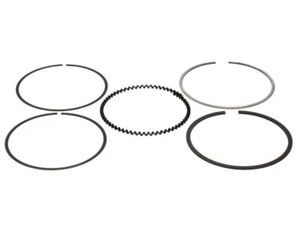 Wiseco 89.00MM RING SET Ring Shelf Stock W300 Series FOR 1963-67 Dodge - Picture 1 of 7