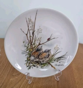 Johann Seltmann Bavaria Germany Porzellan Teller. Buchfink/ Buchfinken. 19,75cm. - Bild 1 von 5