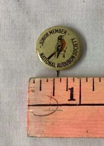 Vintage Tin Pinback Button NATIONAL  AUDUBON SOCIETY JUNIOR MEMBER Robin Bird - Picture 1 of 2