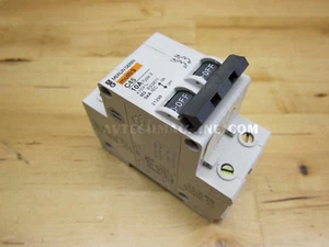 Interruptor Merlin Gerin NF-2P10A - Imagen 1 de 1