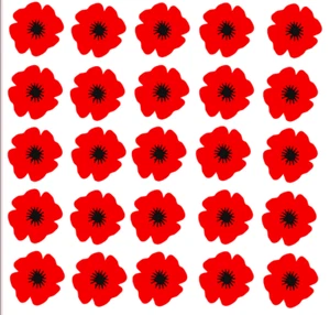 Calcomanías de vinilo x25 Poppy Remembrance pegatinas artesanales hágalo usted mismo para que no olvidemos el automóvil a casa  - Imagen 1 de 2