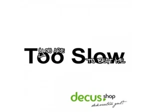 YOU ARE TOO SLOW L 2572 13x2 cm // Sticker JDM Aufkleber Frontscheibe - Picture 1 of 2