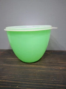 Eagle Super Seal 10 Tassen Aufbewahrungsbehälter grün 7 x 7 x 5,5 Zoll - Bild 1 von 7