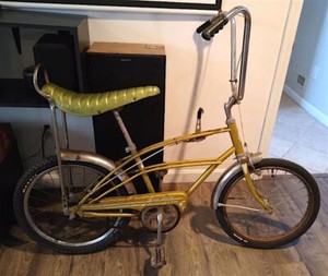 Banana seat bikes