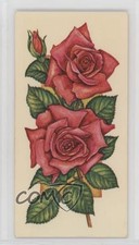 1977 Carreras Craven Black Cat Flowers All the Year Round Tobacco #25 2p7