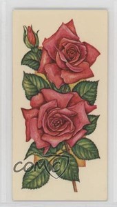 1977 Carreras Craven Black Cat Flowers All the Year Round Tobacco #25 2p7