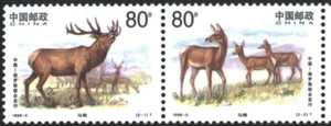 Mint stamps Fauna Deer 1999 from China    avdpz - Picture 1 of 2
