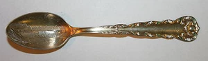 Vintage Niagara Falls Goldwashed w/Enamel Highlights Sterling 4 3/8"Souvnr Spoon - Picture 1 of 4