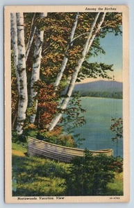 Postkarte Unter den Birken Northwoods Urlaubsansicht Minnesota - Bild 1 von 3
