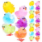 36 pièces poussins flous jouets poulet réaliste décoration de Pâques minuscule