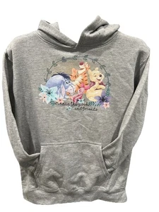 Disney Winnie The Pooh & Friends Youth Sweatshirt YXL Gray - Picture 1 of 7