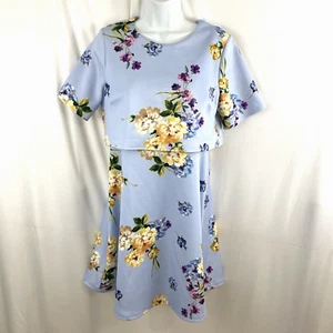 Asos Sz 6 Blue Nursing Dress Floral Breastfeeding Friendly Maternity - Picture 1 of 12