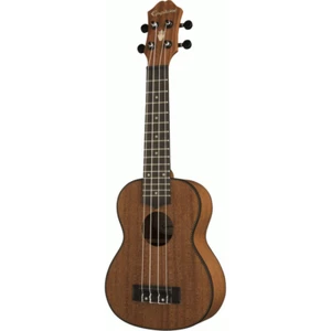 Epiphone EpiLani Soprano Ukulele Natural Satin - Picture 1 of 4