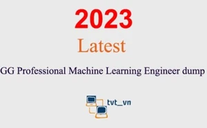 GG Professional Machine Learning Ingenieur Dump GARANTIERT (1 Monat Update) - Bild 1 von 1