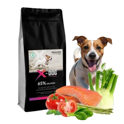 Hundefutter Trockenfutter Hund 2kg getreidefrei Lachs Monoprotein X-DOG - Bild 1 von 4