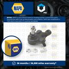 Ball Joint Fits Honda Civic Fb 1.6 Lower 11 To 16 Suspension Napa 51220Tr0a01