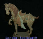 16" Old Chinese Tang Sancai Ceramics Dynasty Palace Tang War Steed Horse Statue