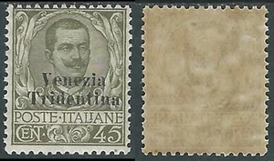 1918 TRENTINO ALTO ADIGE FLOREALE 45 CENT MH * - RA13-3 - Imagen 1 de 1