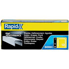 Rapid 13/6 Staples R13 and R23 and R33 and R19 6mm Shank Length, 5,000 Count