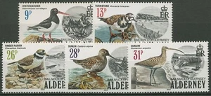 Alderney 1984 aves marinas ostra pescador pájaro braquido 13/17 nuevo - Imagen 1 de 1
