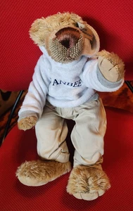 Effanbee BEAR ESSENTIALS Oh Josh! The Urban Bear with Hoodie - Picture 1 of 5