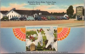 Postal de lino de NASHUA, New Hampshire de la década de 1940 "Granja de pavo de Kimball's Green Ridge" - Imagen 1 de 2
