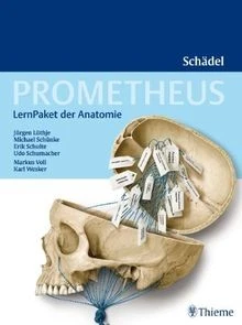 Prometheus LernPaket der Anatomie: Schädel von Lüthje, J... | Buch | Zustand gut - Bild 1 von 2