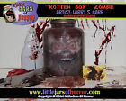 Tête de zombie "Rotten Boy" dans un pot - accessoire décor/horreur d'Halloween - version rouge fraîche