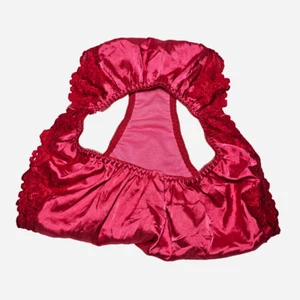 Vintage Shiny Satin Panty Red Sissy Lace French Cut Brief Size Small Hip 32-36" - Picture 1 of 18