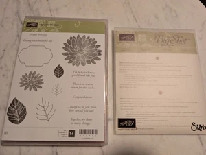 SPECIAL REASON Stamp & STYLISH STEMS Framelits Stampin Up - Picture 1 of 5