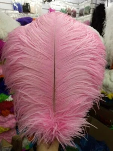 10-500pcs High Quality 6-24 inch Natural Ostrich Feathers Wedding Art Decorate - Picture 1 of 12