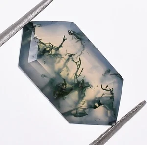 Moss Agate Elongated Hexagon Shape Faceted Cut Gemstone AnniversaryGift 2.20 Ct. - Bild 1 von 9