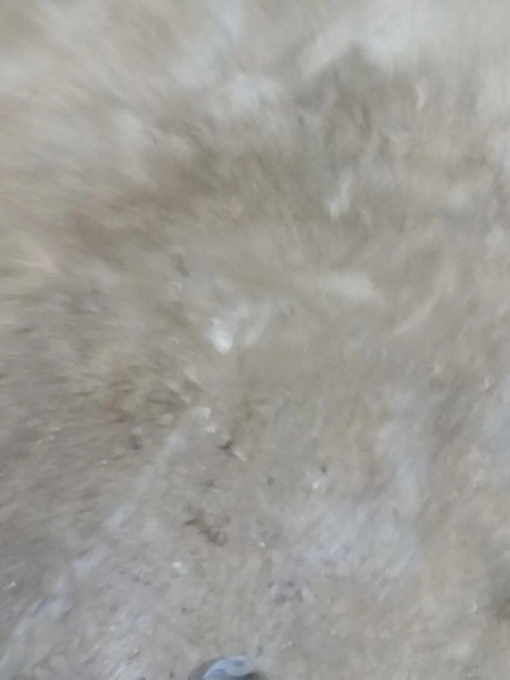 Transmissão automática 6 velocidades I RWD compatível com 06-07 BMW 525i 2091801 - Imagem 1 de 4