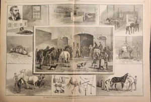 Folio semanal Harper's 1881 del Departamento del Hospital de Nueva York Collage veterinario - Imagen 1 de 1