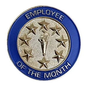 NEU Mitarbeiter des Monats Anstecknadel Hutnadel Service Award rund Emaille 8 Sterne Fackel - Bild 1 von 2