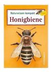 Naturwissen kompakt: Honigbiene: Verkaufseinheit vo... | Buch | Zustand sehr gut